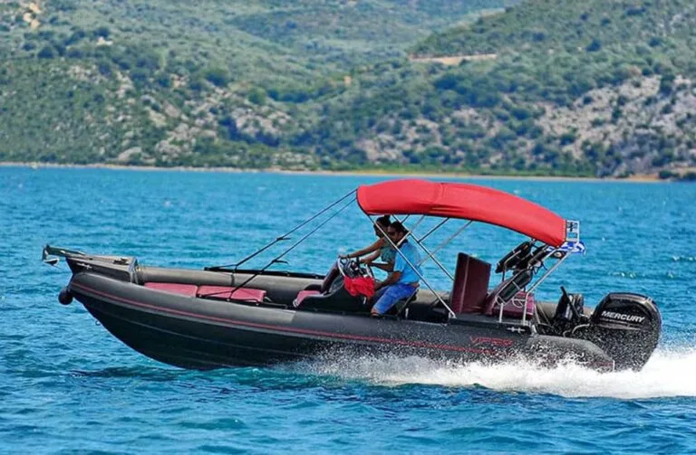 pipisboats-viperbblack1-768x503